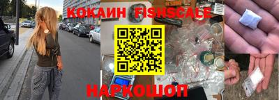 a pvp Камышлов