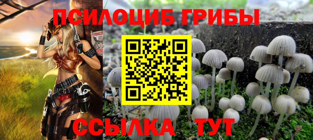 Галлюциногенные грибы Cubensis Бузулук