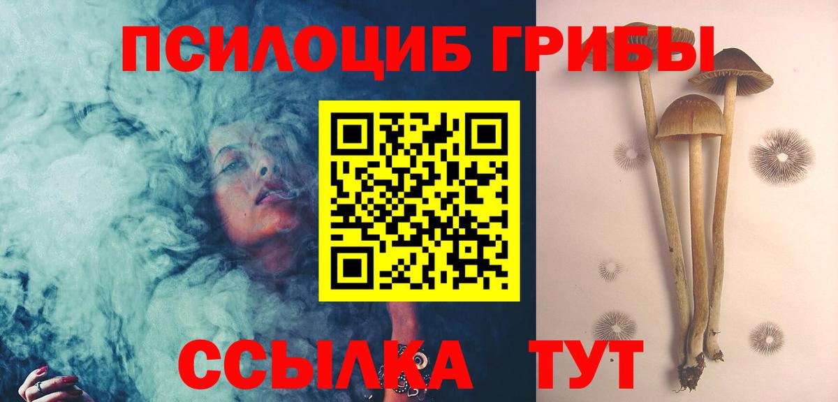 Псилоцибиновые грибы GOLDEN TEACHER  Псилоцибиновые грибы MAGIC MUSHROOMS  Бузулук  Вход с VPN 