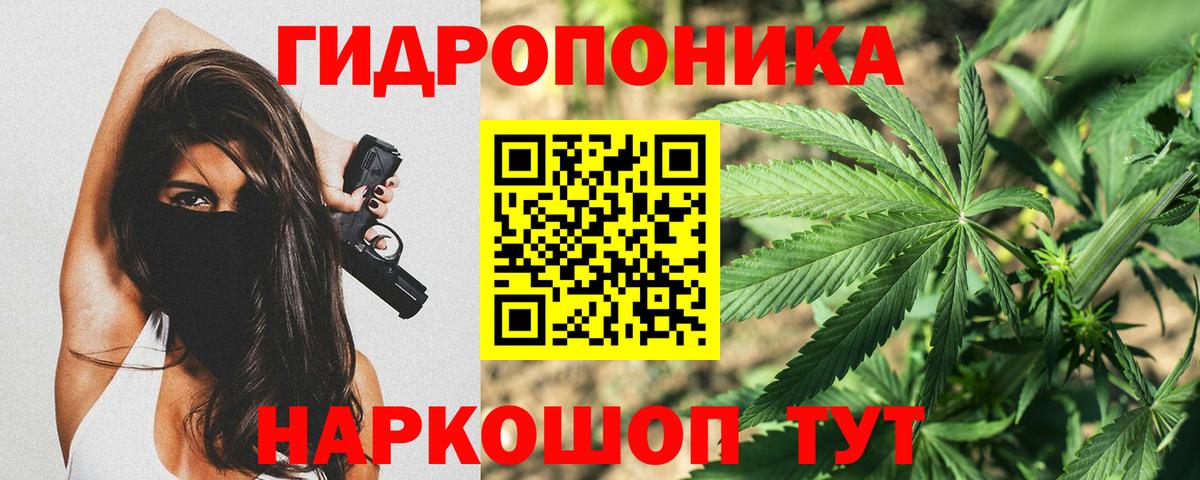 Бузулук  Бошки марихуана ГИДРОПОН  Вход с VPN  Бошки марихуана планчик 